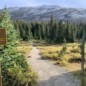 Parker Ridge - Getting ready to hike Parker Ridge Trail. - Hiking Near Me - Nordegg, Alberta