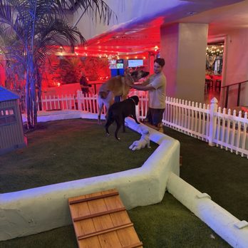 Good Boy - Dive Bars Near Me - San Diego, California Good Boy - Dive Bars Near Me - San Diego, California