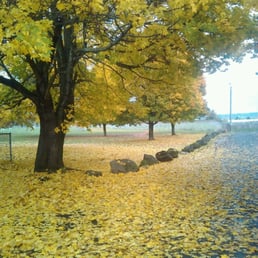 Fall... Fall...