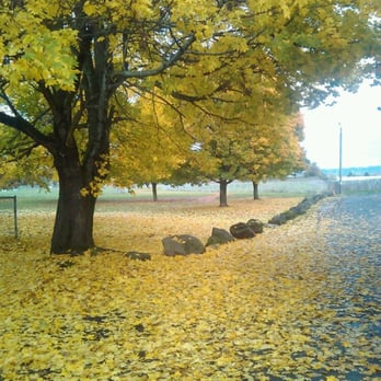 Sacajawea Dog Park - Fall... - Dog Parks Near Me - Portland, Oregon Sacajawea Dog Park - Fall... - Dog Parks Near Me - Portland, Oregon