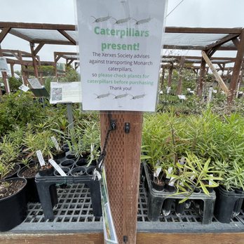 The Watershed Nursery - Nurseries & Gardening Near Me - Richmond, California The Watershed Nursery - Nurseries & Gardening Near Me - Richmond, California