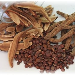 Vital Health Acupuncture Massage & Herbal Medicine - Customized herbal formulas can help improve many conditions especially when combined with acupuncture.