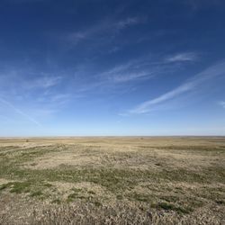 Buffalo Gap National Grassland - Buffalo Gap offers a moment of stillness that stays with you long after you're gone.