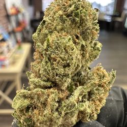 Poca Mota