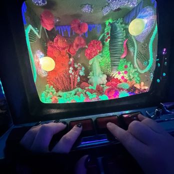 Monkey C Artcade - Art Galleries Near Me - Victoria, British Columbia