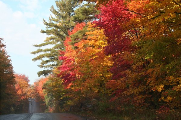 Tipi Adventures - Simply Fit and Fun by null