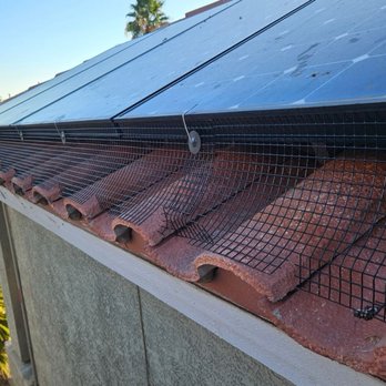 Tri-X Pest Management - After - Pest Control Near Me - Las Vegas, Nevada Tri-X Pest Management - After - Pest Control Near Me - Las Vegas, Nevada