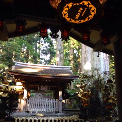 Okunoin Cemetery by null