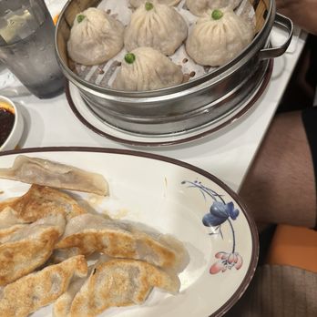 Dumpling Garden - Pork & shrimp dumplings - Noodles Near Me - Marietta, Georgia