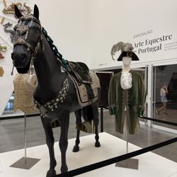 Museu Nacional dos Coches - Equestrian art 2025