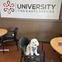 University Tire & Auto Service