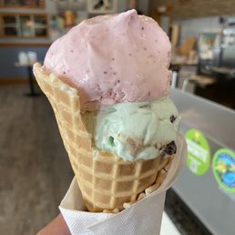 Ice Cream Waffle Cone