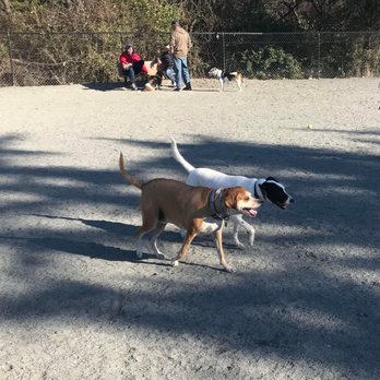 Baron Cameron Dog Park - At Baron Cameron Dog Park - Dog Parks Near Me - Reston, Virginia