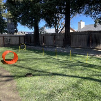 Coop N’ Friends - New Agility Equipment - Dog Walkers Near Me - Madera, California
