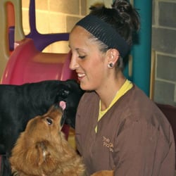 Doggie Playhouse