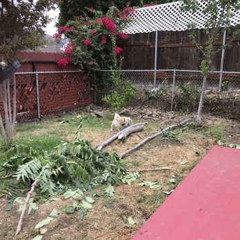 Biltright Turf - Landscaping Near Me