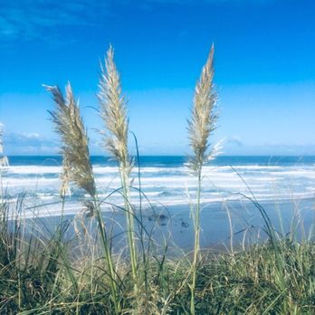 The Allred - Hotels Near Me - Newport, Oregon The Allred - Hotels Near Me - Newport, Oregon