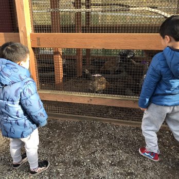 Kelsey Creek Farm Park - Venues & Event Spaces Near Me - Bellevue, Washington