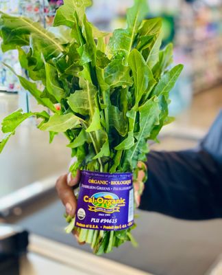Turnip Truck Natural Market by null