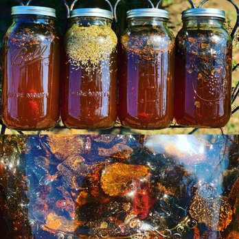 Hank E. Panky Farm & Soap Shop - four jars of honey - Skin Care Near Me - Selma, North Carolina Hank E. Panky Farm & Soap Shop - four jars of honey - Skin Care Near Me - Selma, North Carolina