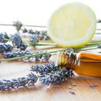 Alchemy of Touch - Massage Therapy Near Me - Hartford, Connecticut Alchemy of Touch - Massage Therapy Near Me - Hartford, Connecticut