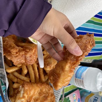 Ship Out - Size of halibut - Food Trucks Near Me - Astoria, Oregon Ship Out - Size of halibut - Food Trucks Near Me - Astoria, Oregon
