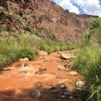 Phantom Ranch - Bright Angel creek was silty from recent rains. We loved sitting in it to cool off. - Hotels Near Me