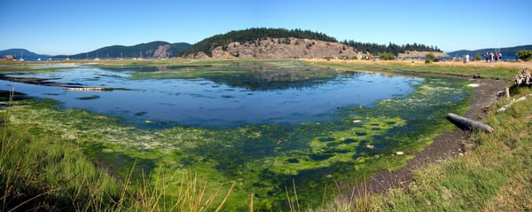 Spencer Spit State Park by null