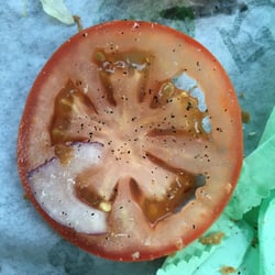 Picture of not yet ripe tomato. You can see how white the core is in contrast to the skin. All were like this. Very acidic.