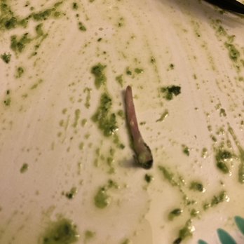 Stonefire Grill - chicken bone found in pesto pasta O: - American Near Me - Pasadena, California Stonefire Grill - chicken bone found in pesto pasta O: - American Near Me - Pasadena, California