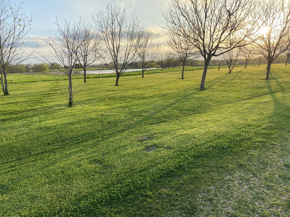 BUFFALO PLAINS LAWN CARE Updated September 2024 Crandall, Texas