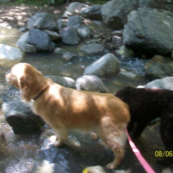 Kristinne's Pet Care - This mountain stuff is so interesting - Pet Sitting Near Me - Pasadena, California Kristinne's Pet Care - This mountain stuff is so interesting - Pet Sitting Near Me - Pasadena, California