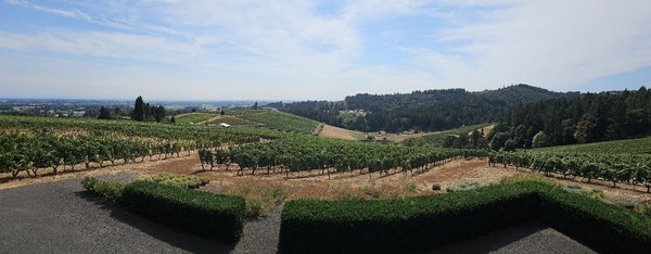 Winderlea Vineyard & Winery by null