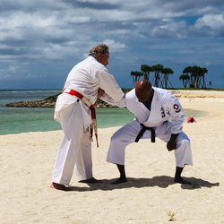 Virginia Dojo - Whether a man or woman, discover natural body movement self defense to keep you safe!