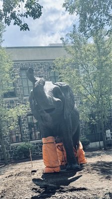 Tufts University by null