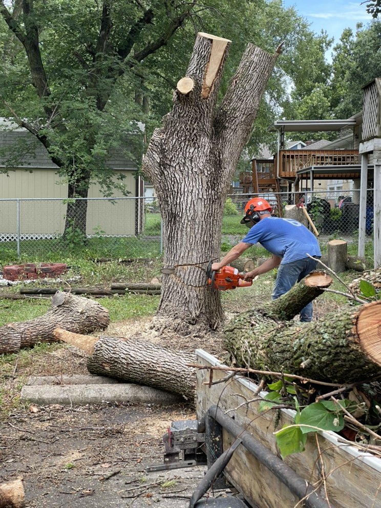 High Top Tree Service - veterans service organization in Kansas City, MO