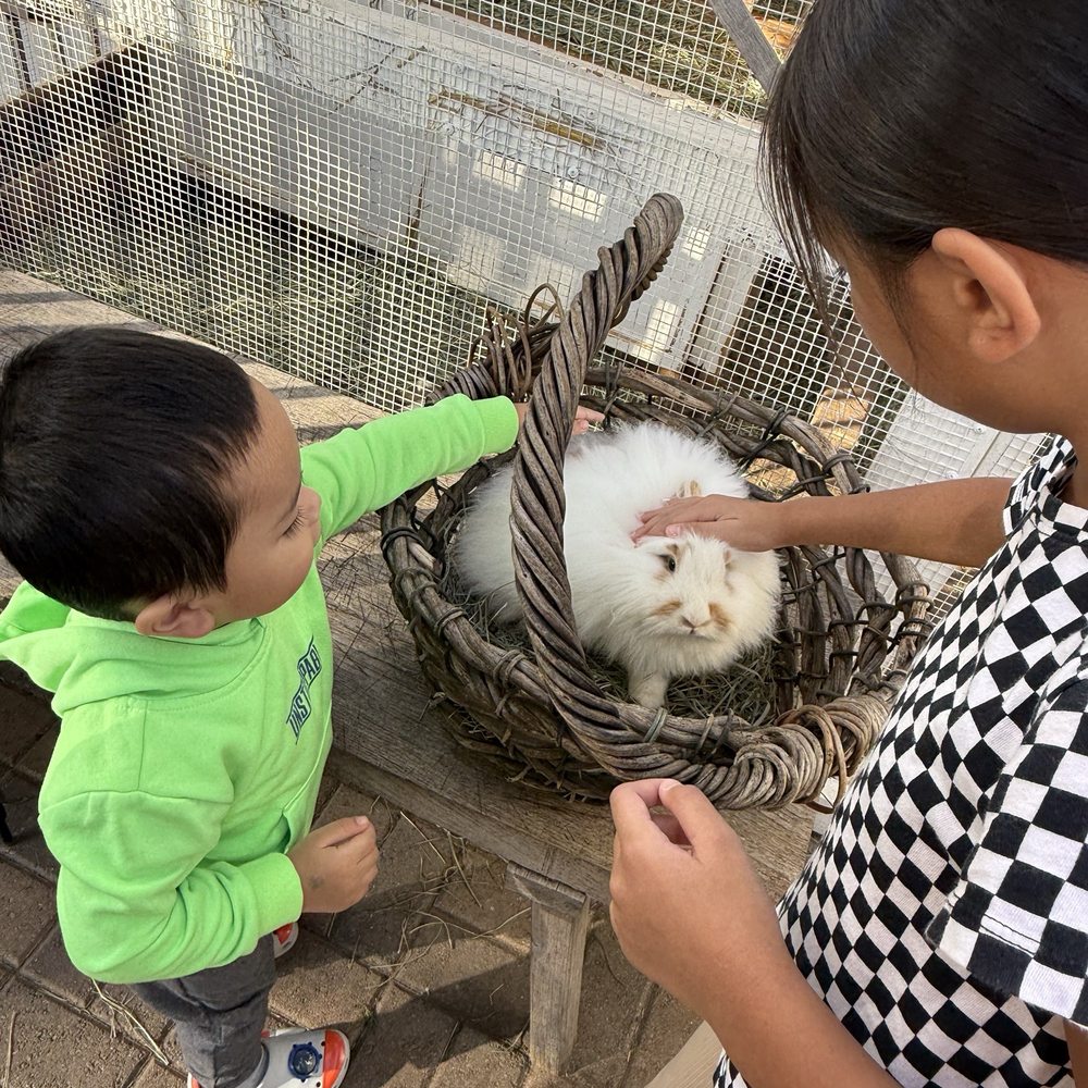 Grange Garden Outdoor - Kids were able to pet bunnies. $12 admission - Coffee & Tea Near Me - Solana Beach, California Grange Garden Outdoor - Kids were able to pet bunnies. $12 admission - Coffee & Tea Near Me - Solana Beach, California