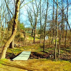 Binky Lee Preserve -- (ALL NATURAL LANDS PRESERVES OPEN during COVID-19 crisis, except Stoneleigh)
