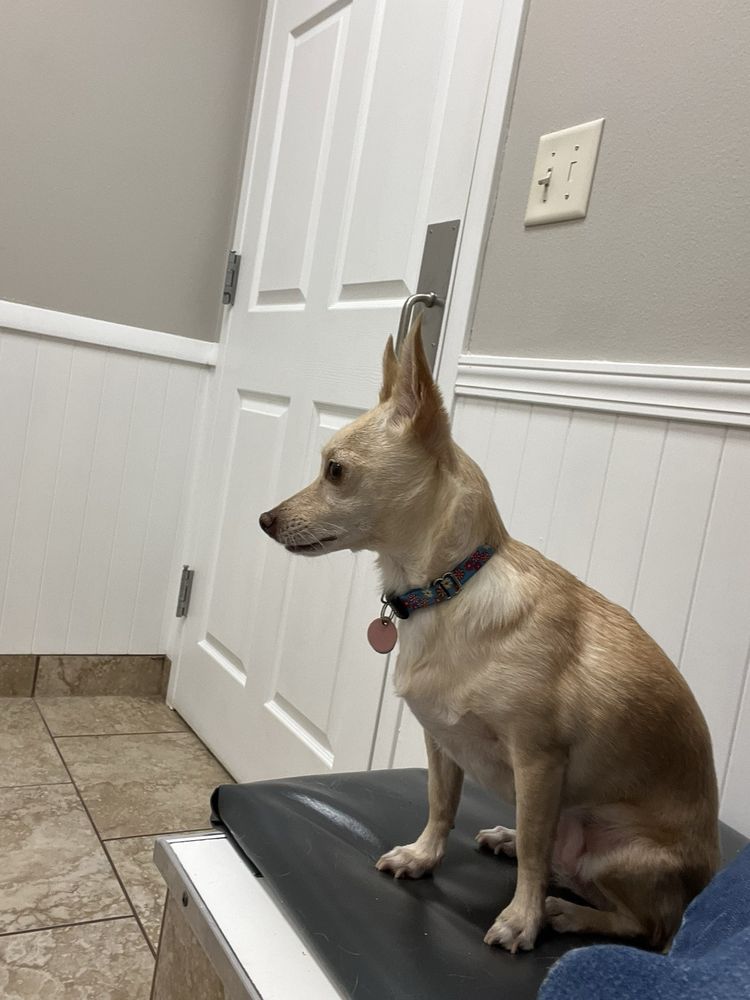 HEATHER RIDGE PET HOSPITAL Updated September 2024 5901 S Remington