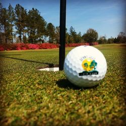 Sunny Hills Golf Club - Azaleas in bloom on Hole #5