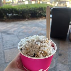 Malibu Yogurt & Ice Cream - Malibu Tart Yogurt