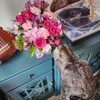 Capitol Florist gift card