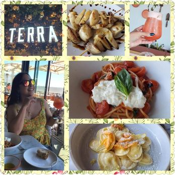 Terra - Collage of food - Italian Near Me - Santa Clara, California Terra - Collage of food - Italian Near Me - Santa Clara, California