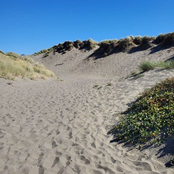 Sonoma Coast State Beach - Sand dunes - Beaches Near Me - Bodega Bay, California Sonoma Coast State Beach - Sand dunes - Beaches Near Me - Bodega Bay, California