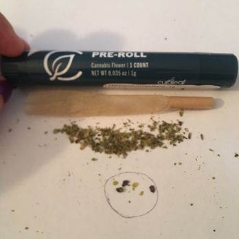 Curaleaf - You can see the SEEDS and seed shells from the dumped out pre-roll. Unacceptable! - Cannabis Clinics Near Me - Oxford, Massachusetts