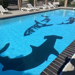 The beautiful pool at Safari Inn.