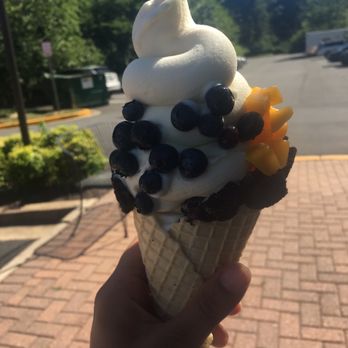Molly's Yogurt - Tangy plain yogurt with blueberries and mango - Ice Cream & Frozen Yogurt Near Me - Vienna, Virginia Molly's Yogurt - Tangy plain yogurt with blueberries and mango - Ice Cream & Frozen Yogurt Near Me - Vienna, Virginia