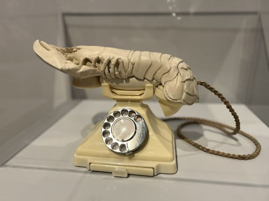 The Dalí Museum by null