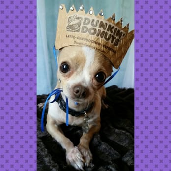 Dunkin' - Mr.  Pickles is Dun - king of Donuts! - Donuts Near Me - Santa Clarita, California