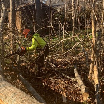 Canopy Tree Service - Tree Services Near Me - Mocksville, North Carolina Canopy Tree Service - Tree Services Near Me - Mocksville, North Carolina